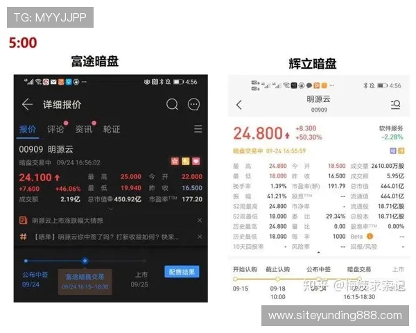 云顶新耀官网登录入口最新指南，轻松掌握登录流程与注意事项