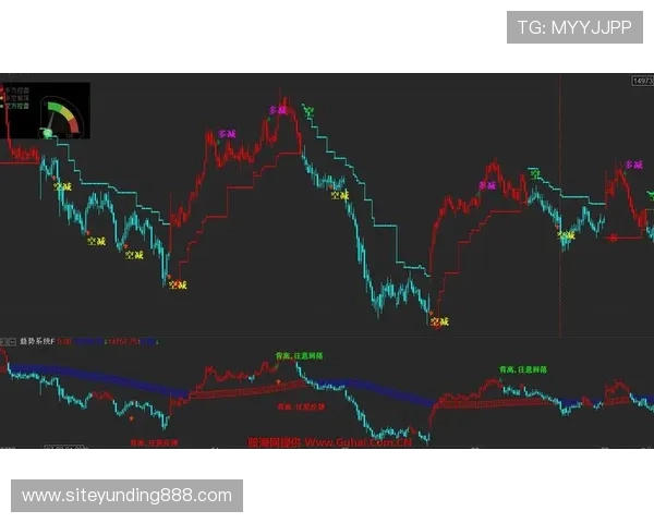 云顶真金赌博风险控制与资金管理，帮助玩家实现稳健盈利的实用建议
