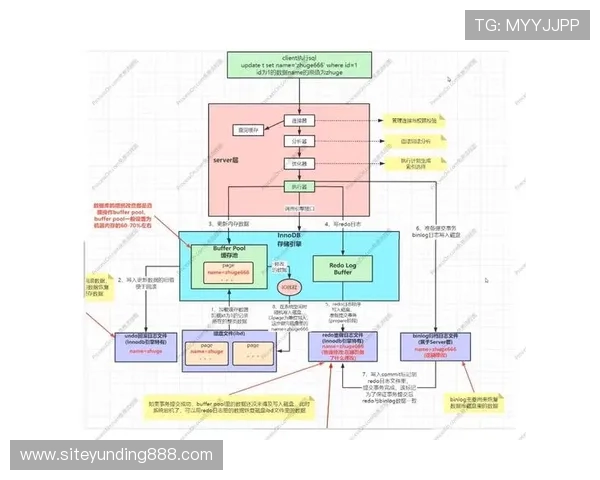 云顶赛事规则详细解析帮助玩家全面理解比赛流程与规则要求