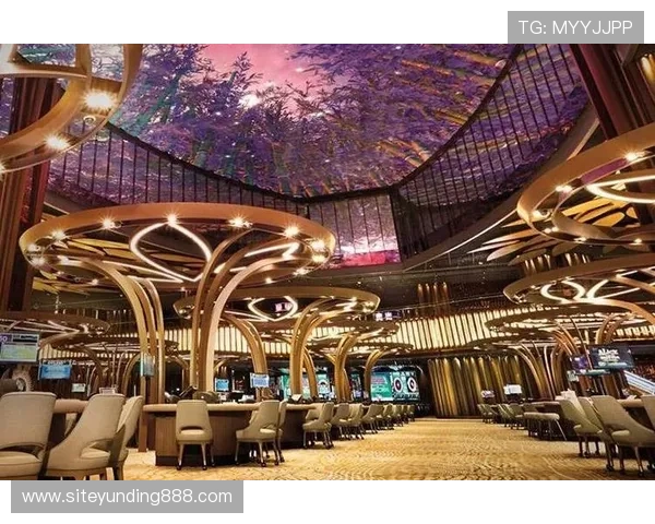 云顶集团旗下赌场的安全保障措施与客户服务体系详解