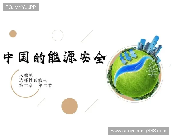 轮盘网站安全性分析及选择建议确保个人信息和资金安全的实用方法