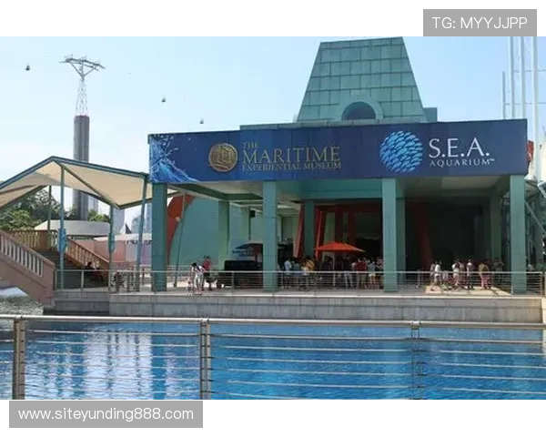 马来西亚云顶世界英文平台：如何注册登录及提升游戏体验的方法